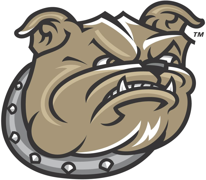 Bryant Bulldogs 2005-Pres Secondary Logo diy DTF decal sticker